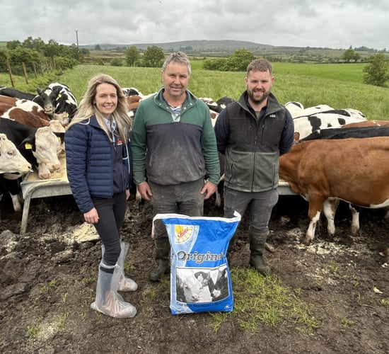 Tyrone dairy farmer reduces calf mortality to just 1%