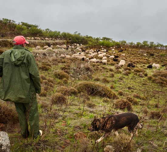 Farmers 'deeply concerned' about level of illegal trespass