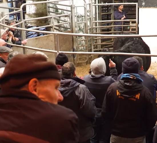 New TB plan: Point of sale risk info for females over 18 months