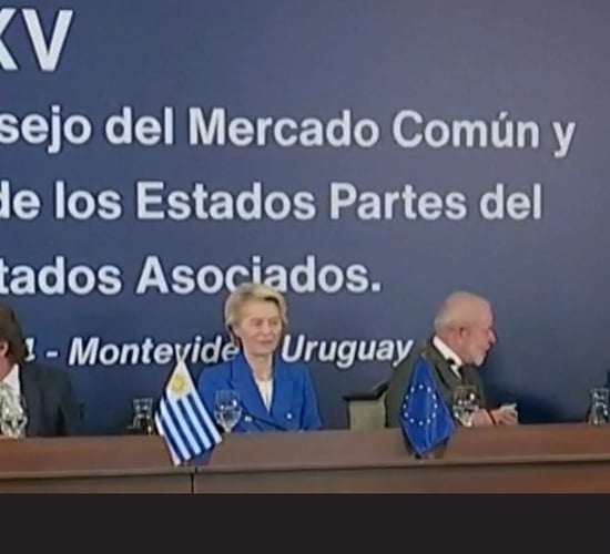 Irish NGOs warn Mercosur will speed up 'collapse of family farms'