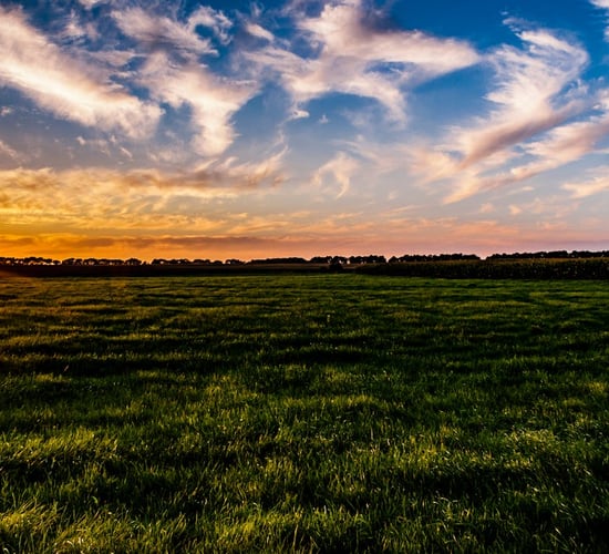 Grassland Agro: 'Intense' fertiliser price decreases impacted 2023 results