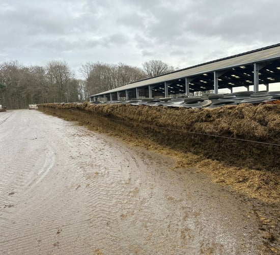 Reducing the farm's workload for Christmas Day