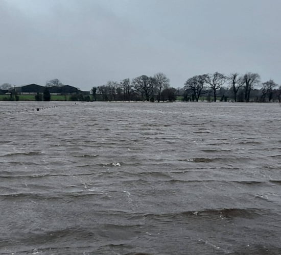 Three sheep die and 57 rescued following flooding in Scotland