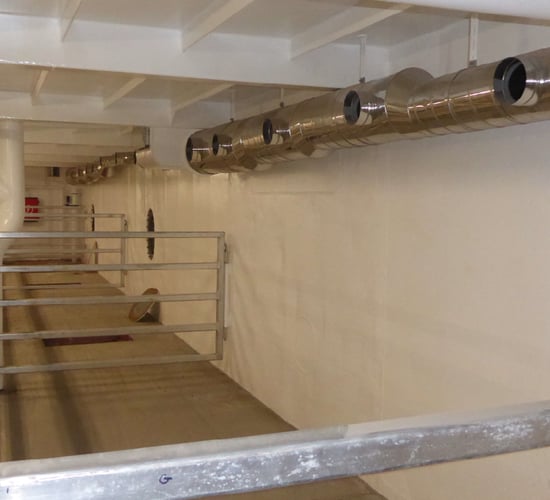 Use of 5,000-head livestock ship for calves now in doubt