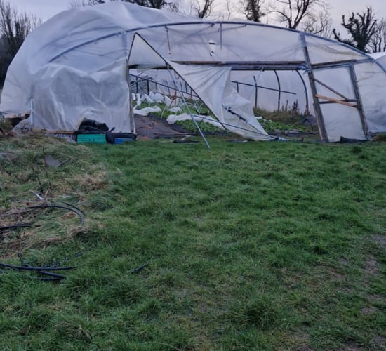 Scheme to help horticulture sector reopens in aftermath of storm