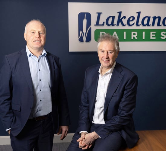 New independent director appointed at Lakeland Dairies