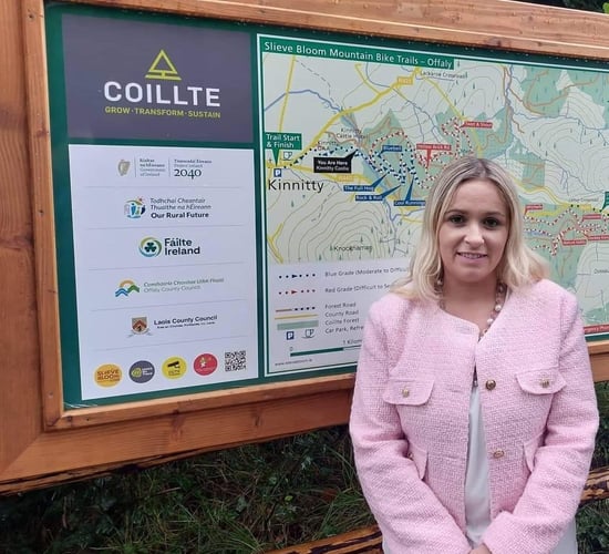 Quads and scramblers 'laying waste' to Slieve Bloom trails - TD