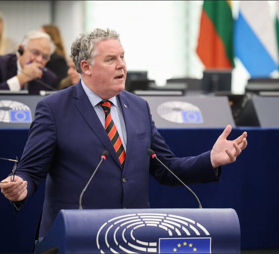 Irish MEP presents 'family farm reform plan' to EU agriculture chief