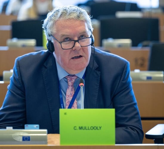 Mullooly welcomes CAP simplification but with some concerns