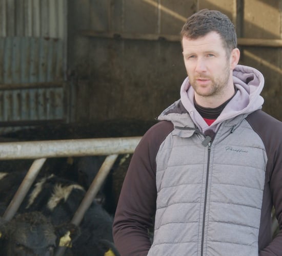 Video: Breeding for Efficiency Series: Friesians to Jersey cross in Kerry