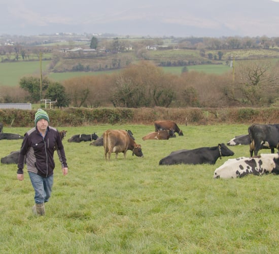 Breeding for Efficiency Series: Maintaining solids with OAD milking