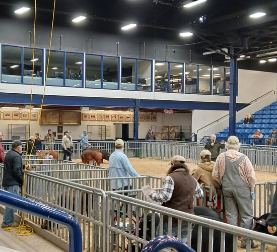 Social initiative for farmers developed in Galway now launched in US