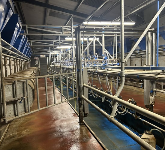 Milk Price Tracker: Prices steady for the end of 2024