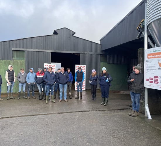 Practical calf-rearing advice at CalfCare event in Cavan