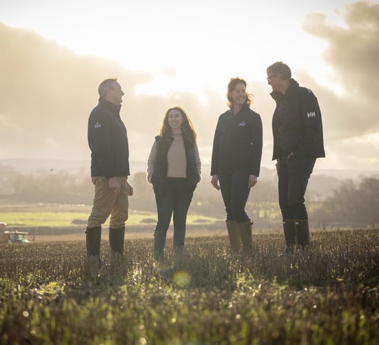 Irish Distillers and BOI offer sustainability loans to tillage farmers