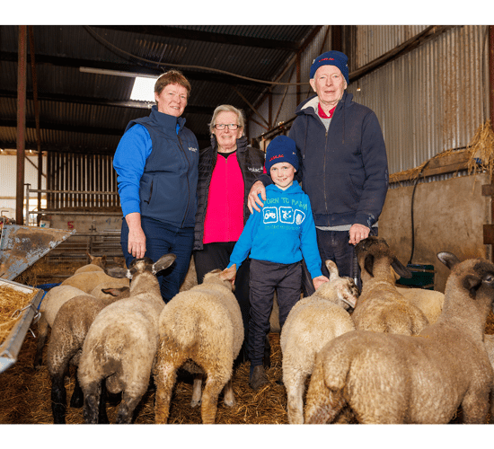 Roscommon sheep farmer maximises lamb performance