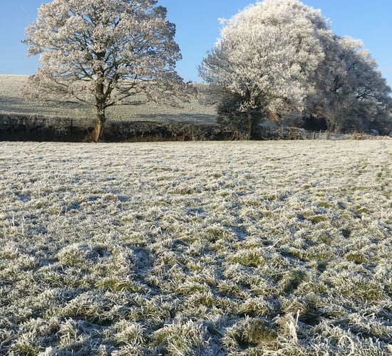 How can farmers prepare for wintry conditions?