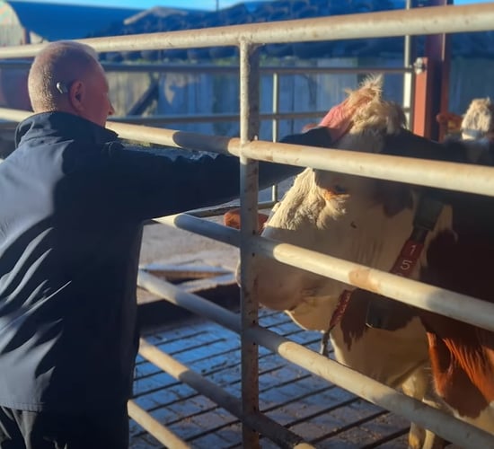 Watch: Offaly farmer makes big savings by 'going solar'