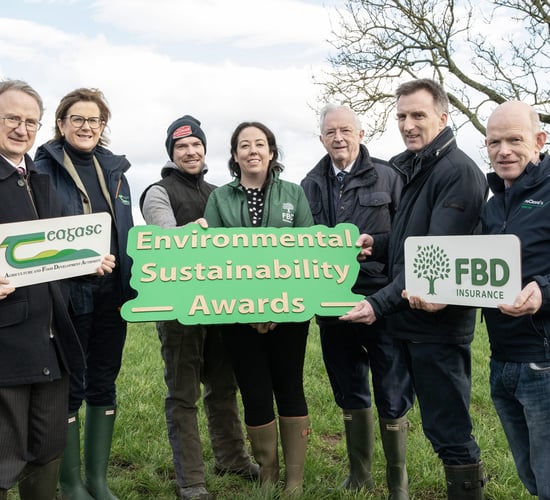 Prize fund worth €30,000 for environmental sustainability awards