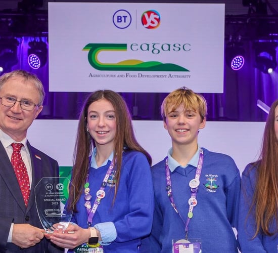 BT Young Scientist: Cork students win special award for crop study