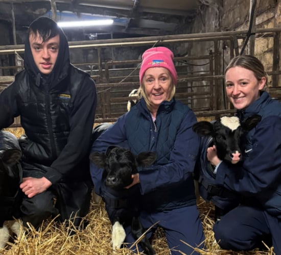 'Great surprise' for Cork farmer as triplet Friesian heifers born