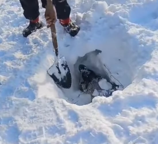 Watch: Locals work to rescue sheep from deep snow on the Galtees