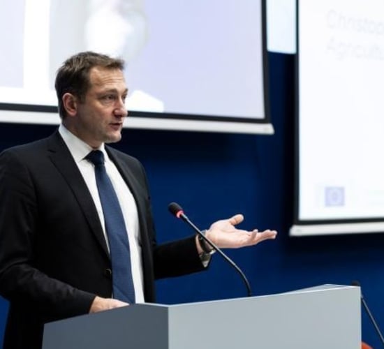 Hansen: Simplification reform needed 'well ahead' of next elections
