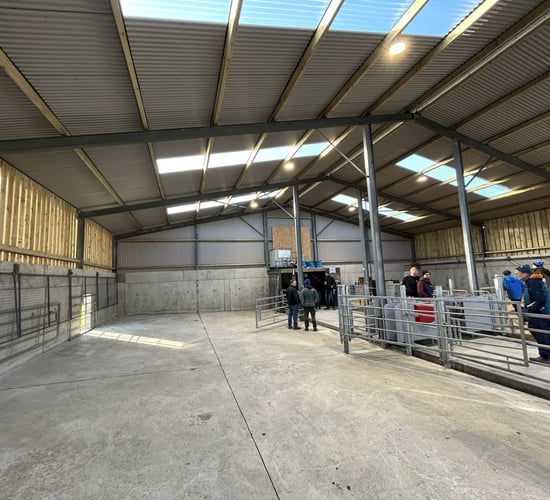 Are your calf facilities optimal for space, health and hygiene?