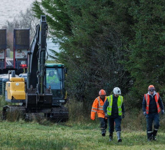 New legislation to set  'compensation' rules on forestry corridor works
