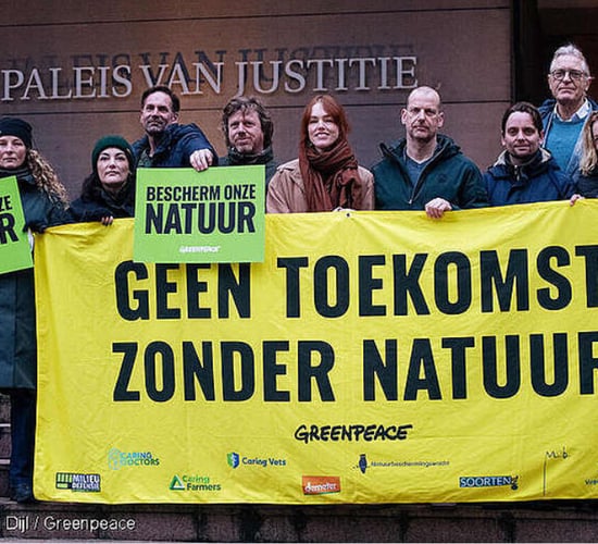Greenpeace wins nitrogen legal case against Netherlands