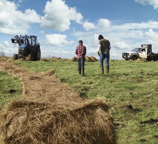 Report identifies succession issues and aging profile of farmers