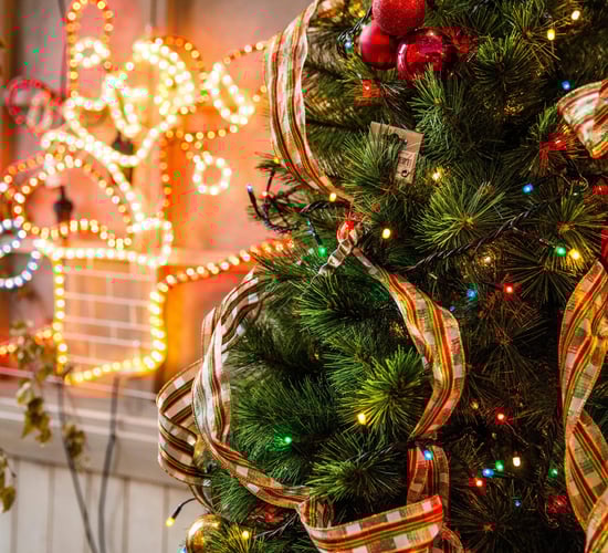 Find out where to recycle your Christmas tree for free