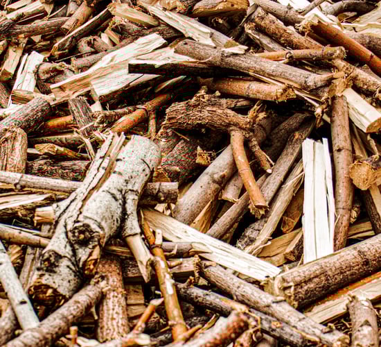 COFORD highlights climate importance of forest-based biomass