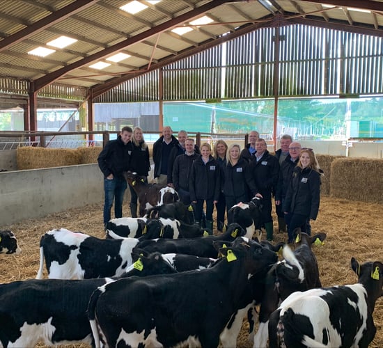 Agriland and Volac Milk Replacers Ireland Ltd to launch 'Calf Rearing Series'