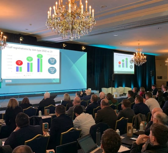 Bord Bia Meat Marketing Seminar takes place today