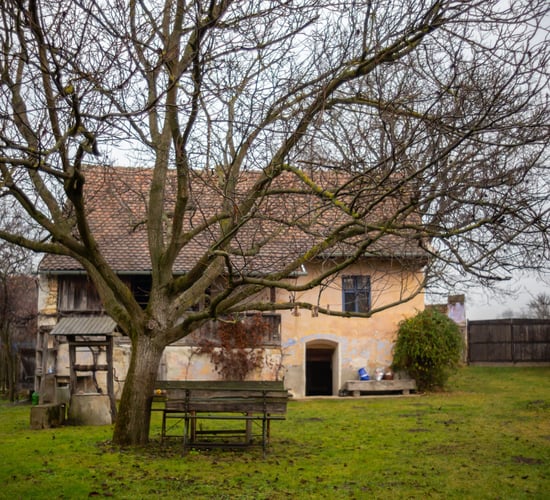 More than 2,000 homes liable  for Vacant Homes Tax in 2024