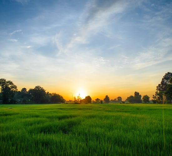 Climate research: Length of growing season 'projected to increase' in Ireland