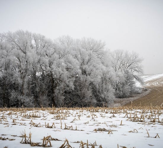 Farmers urged to think of 'own safety' in severe cold weather spell