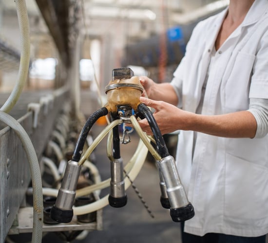 CSO: Producer prices for food up by over 6% in year to May 2025