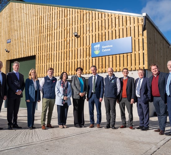 Video: See inside new €1m UCD calf research facility