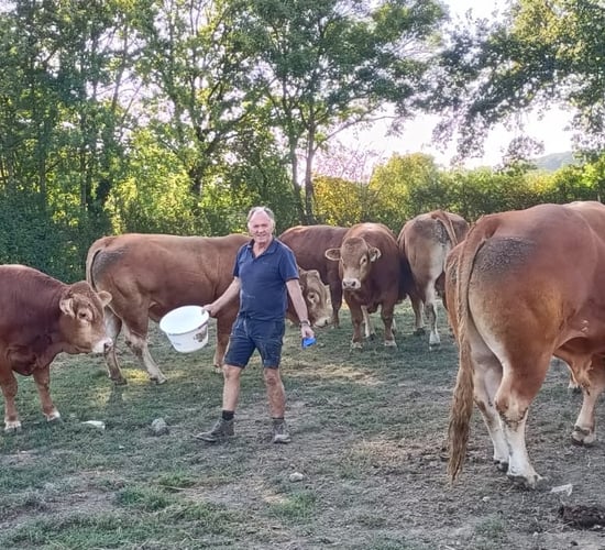 Galway family describe France as 'paradise' for farming