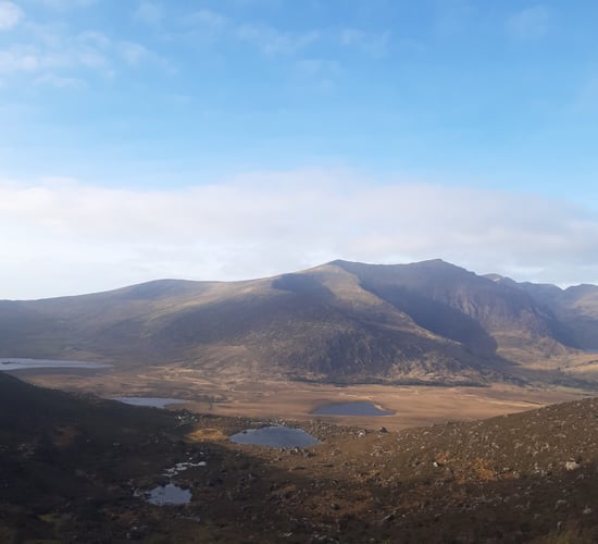 An Taisce raises grazing concerns for new national park