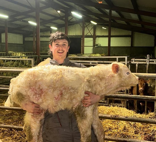 Monaghan's farming footballer: Juggling ball, sheep &amp; sleep