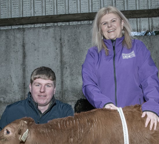 Cork farmer's secret to strong, healthy calves