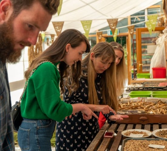 Seed exchange event to promote biodiversity this month