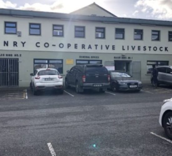 Slight dip in sheep trade at Athenry Mart
