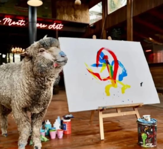 Sheep painting prodigy 'Baanksy' reportedly kidnapped