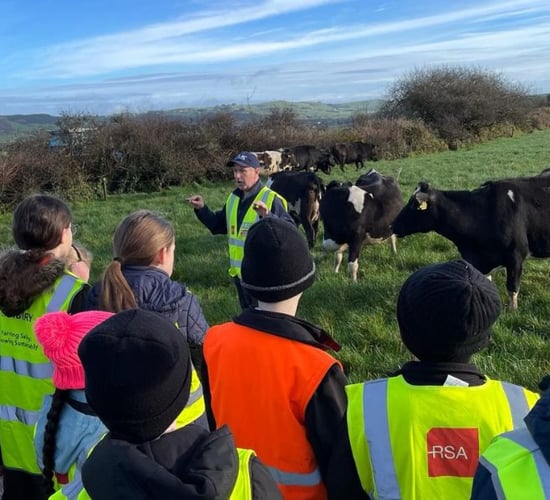 West Cork students get hands-on farm experience