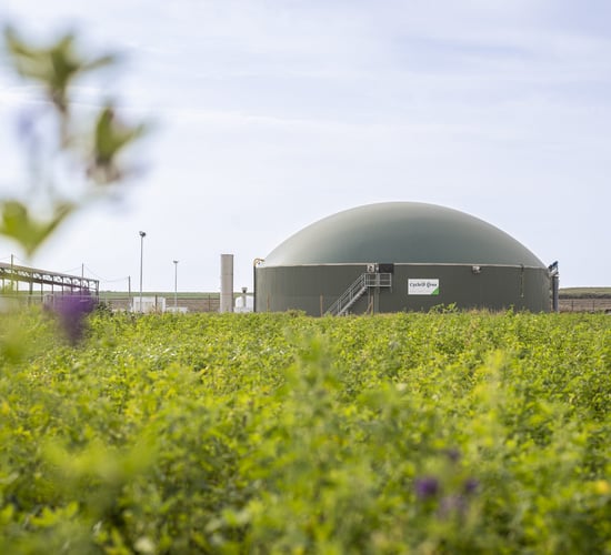 Community meeting about biogas plant rescheduled