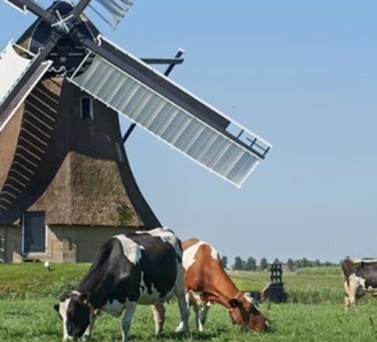 $27.4m genetics initiative will breed low-methane emitting cattle